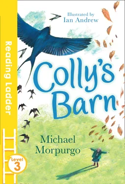 Michael Morpurgo Colly's Barn обложка книги