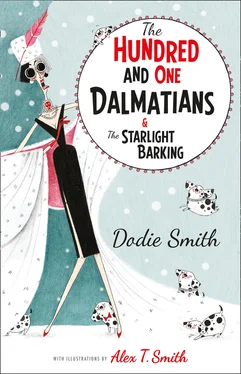 Dodie Smith The Hundred and One Dalmatians Modern Classic обложка книги