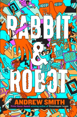 Andrew Smith Rabbit and Robot