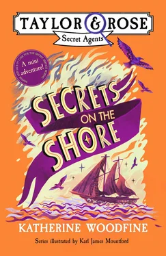 Katherine Woodfine Secrets on the Shore (Taylor and Rose mini adventure) обложка книги