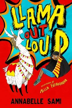 Annabelle Sami Llama Out Loud! обложка книги