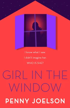 Penny Joelson Girl in the Window обложка книги