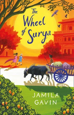Jamila Gavin The Wheel of Surya обложка книги
