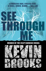 Kevin Brooks - See Through Me