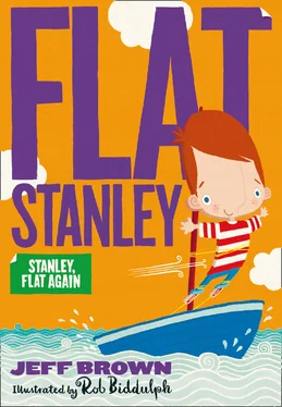 Jeff Brown Stanley Flat Again! обложка книги