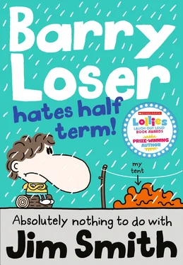 Jim Smith Barry Loser Hates Half Term обложка книги