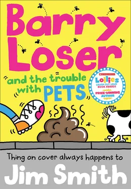 Jim Smith Barry Loser and the trouble with pets обложка книги