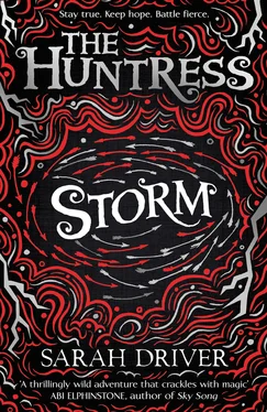 Sarah Driver Storm обложка книги