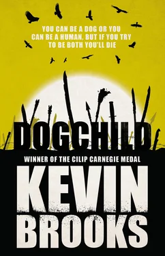 Kevin Brooks Dogchild обложка книги