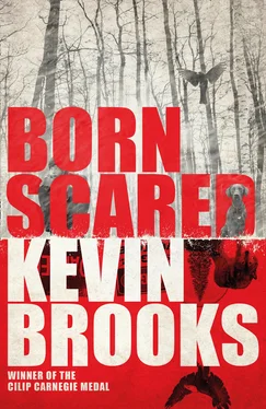 Kevin Brooks Born Scared обложка книги