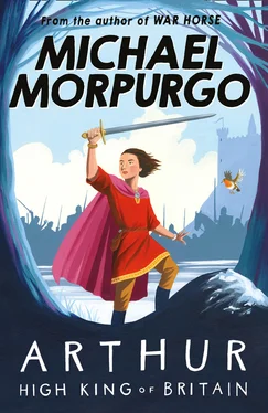 Michael Morpurgo Arthur High King of Britain обложка книги