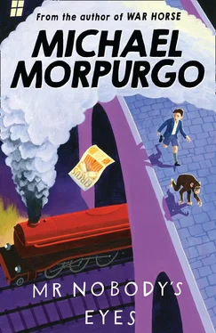 Michael Morpurgo Mr Nobody's Eyes обложка книги