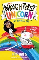 Pip Bird - The Naughtiest Unicorn at Sports Day