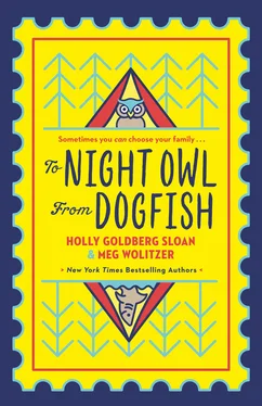 Meg Wolitzer To Night Owl From Dogfish обложка книги