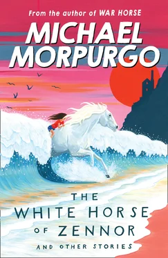 Michael Morpurgo The White Horse of Zennor обложка книги