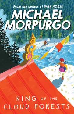 Michael Morpurgo King of the Cloud Forests обложка книги