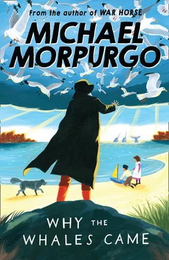 Michael Morpurgo Why the Whales Came обложка книги
