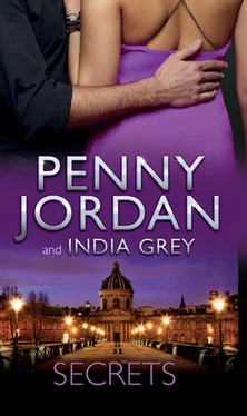 India Grey Secrets обложка книги