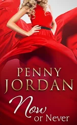 Penny Jordan - Now or Never
