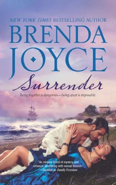 Brenda Joyce Surrender обложка книги
