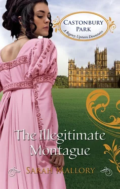 Sarah Mallory The Illegitimate Montague обложка книги