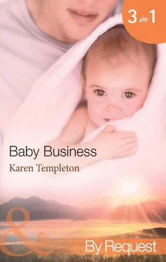 Karen Templeton Baby Business обложка книги