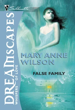 Mary Anne Wilson False Family обложка книги