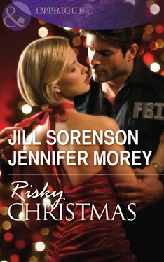 Jill Sorenson Risky Christmas обложка книги