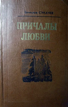 Вячеслав Сукачев Замуж за хорошего человека обложка книги