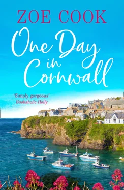 Zoe Cook One Day in Cornwall обложка книги