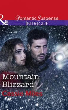 Cassie Miles Mountain Blizzard обложка книги