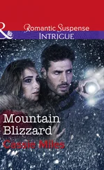 Cassie Miles - Mountain Blizzard