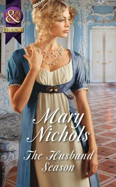 Mary Nichols The Husband Season обложка книги