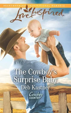 Deb Kastner The Cowboy's Surprise Baby обложка книги