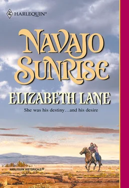 Elizabeth Lane Navajo Sunrise обложка книги