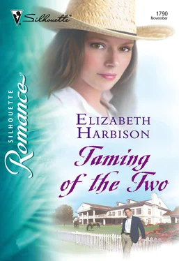 Elizabeth Harbison Taming of the Two обложка книги