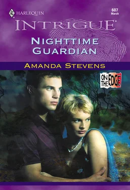 Amanda Stevens Nighttime Guardian обложка книги