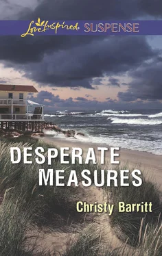 Christy Barritt Desperate Measures обложка книги