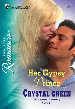 Crystal Green Her Gypsy Prince обложка книги