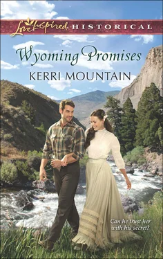 Kerri Mountain Wyoming Promises обложка книги