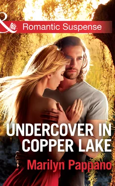 Marilyn Pappano Undercover in Copper Lake обложка книги