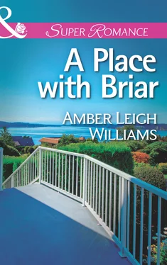 Amber Leigh Williams A Place with Briar обложка книги