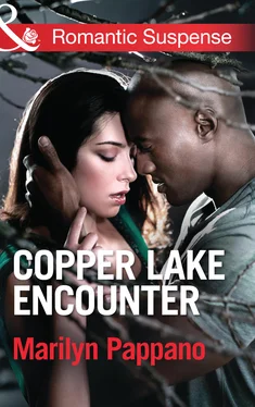 Marilyn Pappano Copper Lake Encounter обложка книги