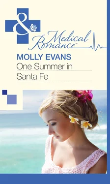 Molly Evans One Summer In Santa Fe обложка книги