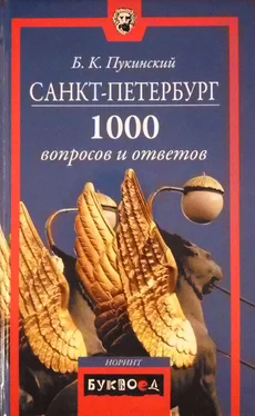 Болеслав Пукинский Санкт-Петербург обложка книги