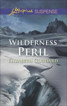 Elizabeth Goddard Wilderness Peril обложка книги