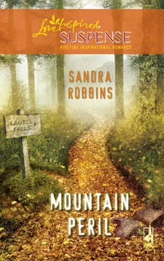 Sandra Robbins Mountain Peril обложка книги