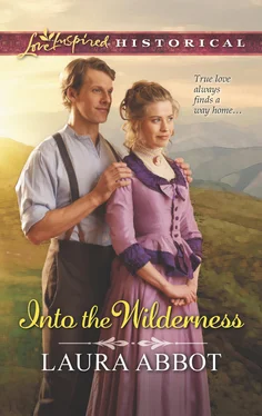 Laura Abbot Into the Wilderness обложка книги