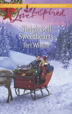Teri Wilson Sleigh Bell Sweethearts обложка книги