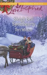 Teri Wilson - Sleigh Bell Sweethearts